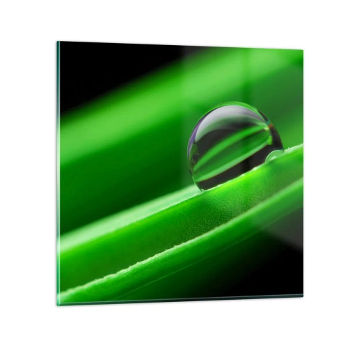 Obraz na skle - Život zblízka - 30x30 cm