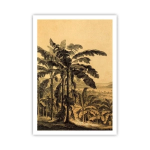 Plagát - V koloniálnom štýle - 70x100 cm