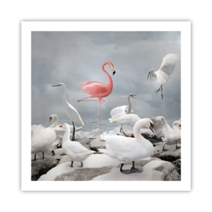 Plagát - Kde som sa tu vzal? - 60x60 cm