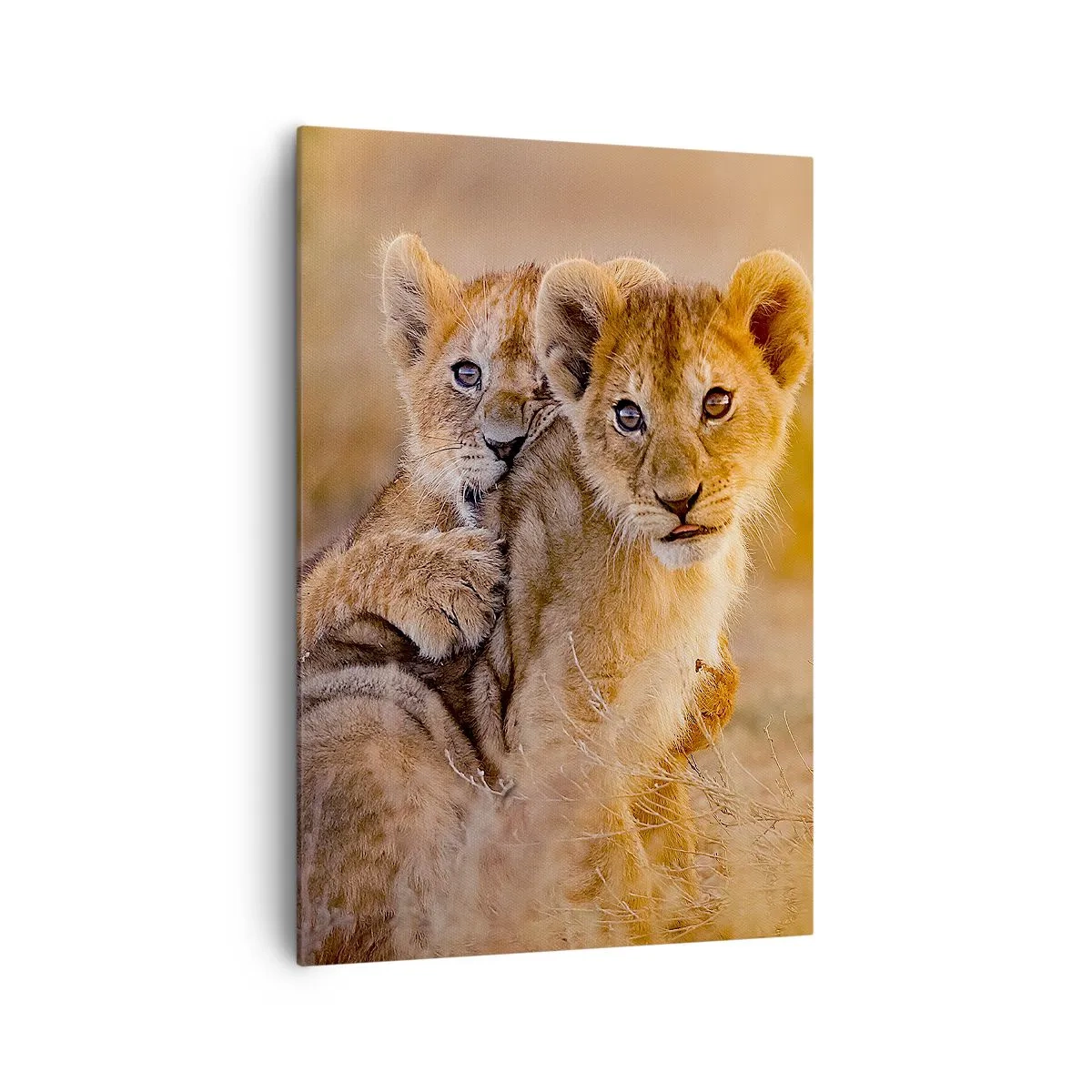 Obraz na plátne - Nevyrušovať! Hrajme sa - 70x100 cm