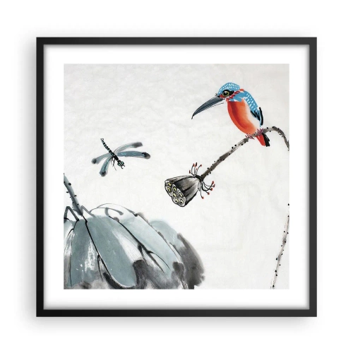 Plagát v čiernom ráme - Život lúky - 50x50 cm