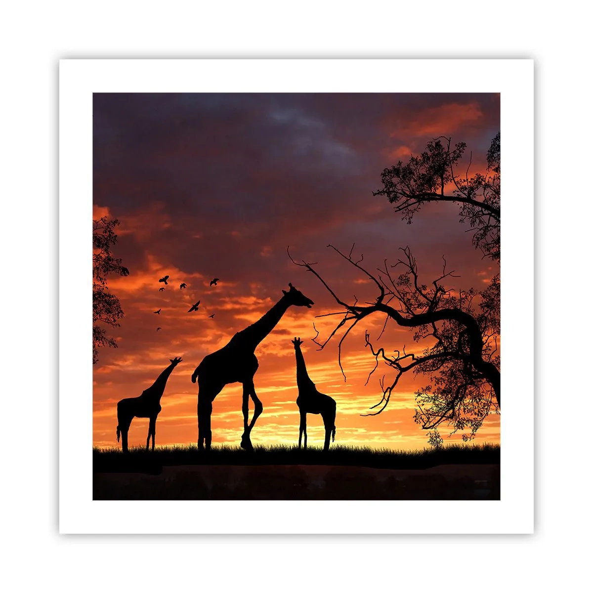 Plagát - Malá večera v kruhu najbližších - 50x50 cm