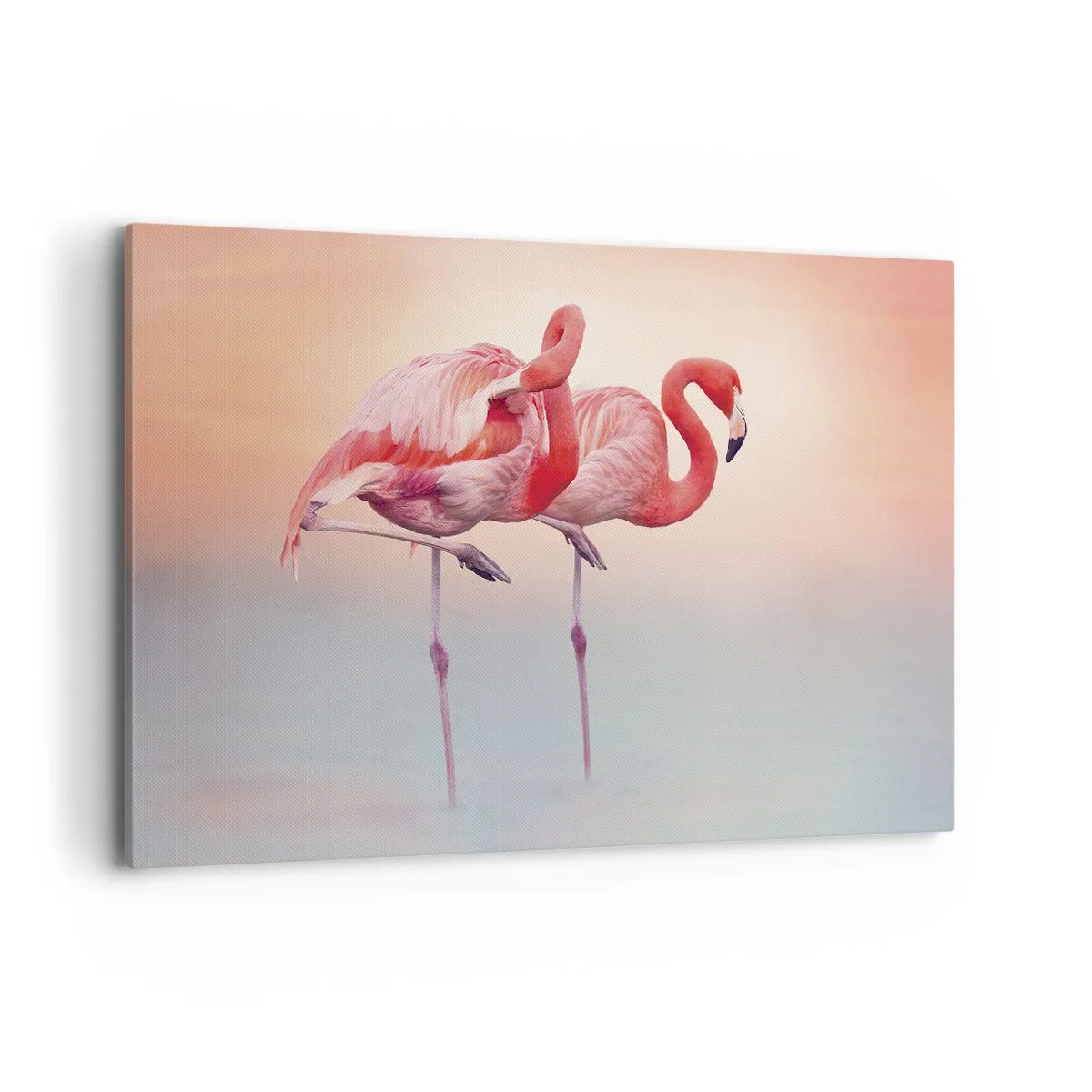 Obraz na plátne - Vo farbe zapadajúceho slnka - 120x80 cm