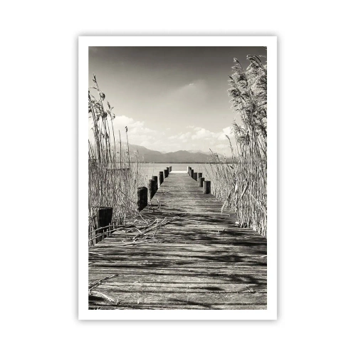 Plagát - V ústraní tráv - 70x100 cm