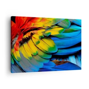 Obraz na plátne - Detailný záber na farebné perie papagája - 70x50cm - Nebeský vták - Moderná nástenná dekorácia do obývacej izby a spálne ARTTOR