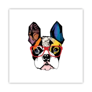 Plagát - Intelektuál - 40x40 cm