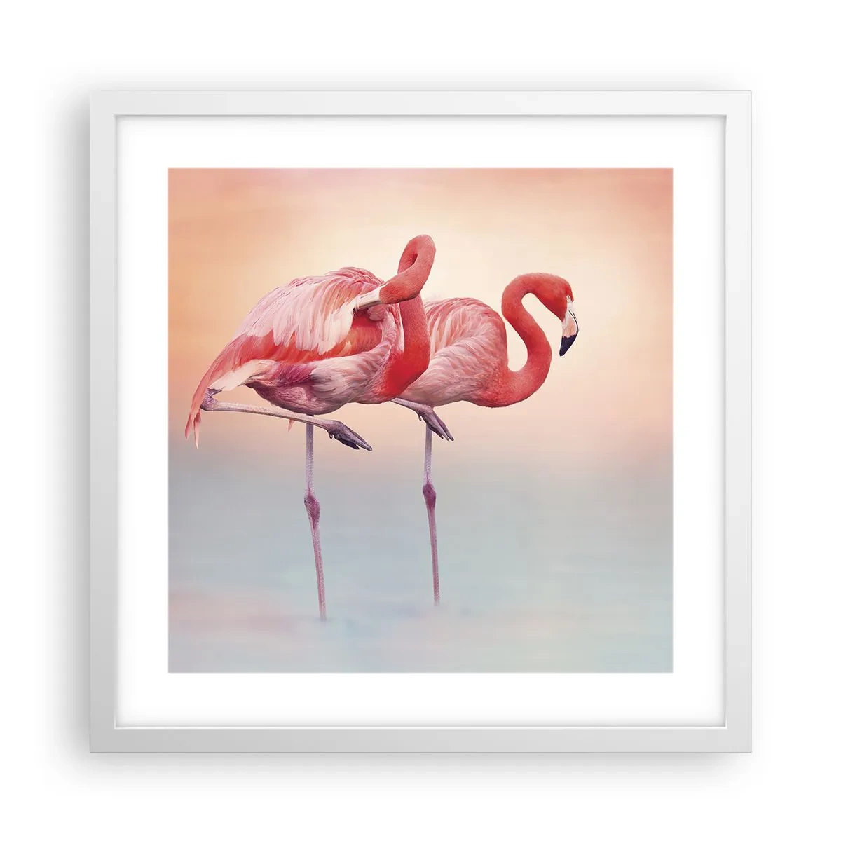 Plagát v bielom ráme - Vo farbe zapadajúceho slnka - 40x40 cm