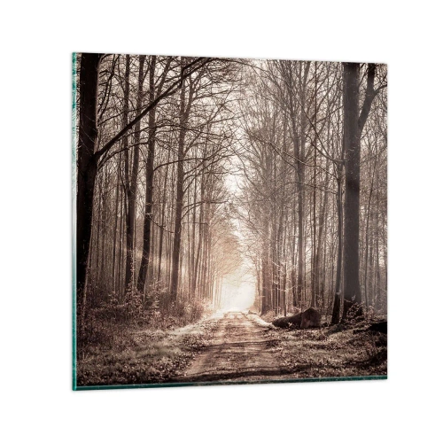 Obraz na skle - Lesná katedrála - 60x60 cm