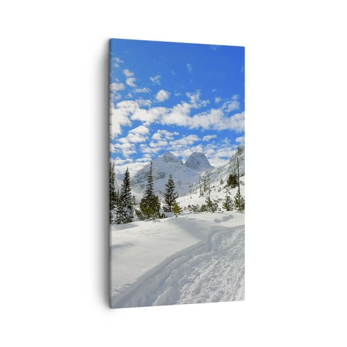 Obraz na plátne - V snehu a na slnku - 45x80 cm