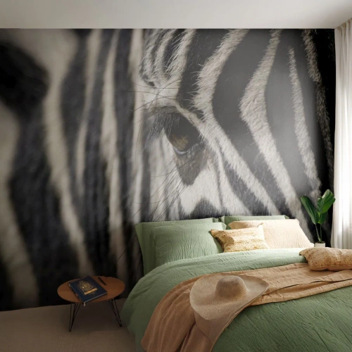 Fototapeta Premium Sand - Portrét s pruhmi - Zvieratá, Rebrá, Afriky - 150x105 cm