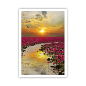 Plagát - Tajomný život jazera - 70x100 cm