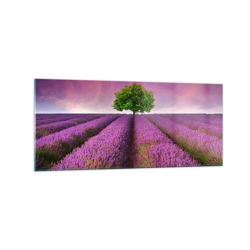 Obraz na skle - Na levanduľových poliach - 120x50 cm