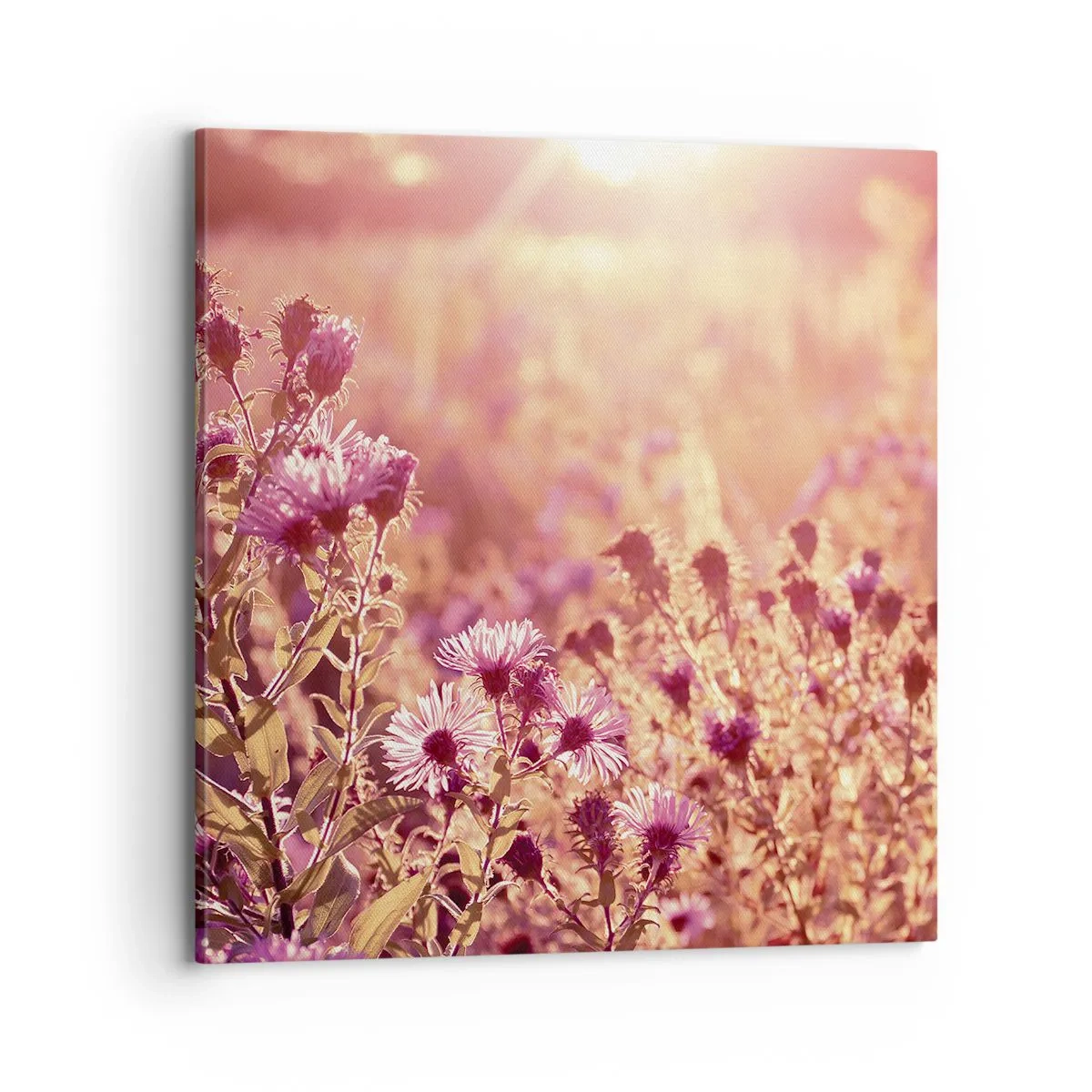 Obraz na plátne - Než skončí leto - 70x70 cm