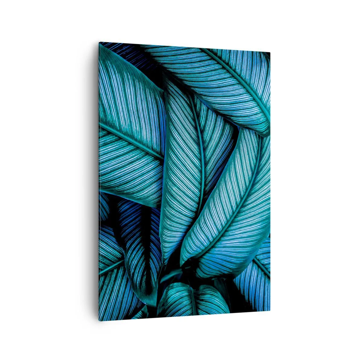Obraz na plátne - Čiary života - 70x100 cm
