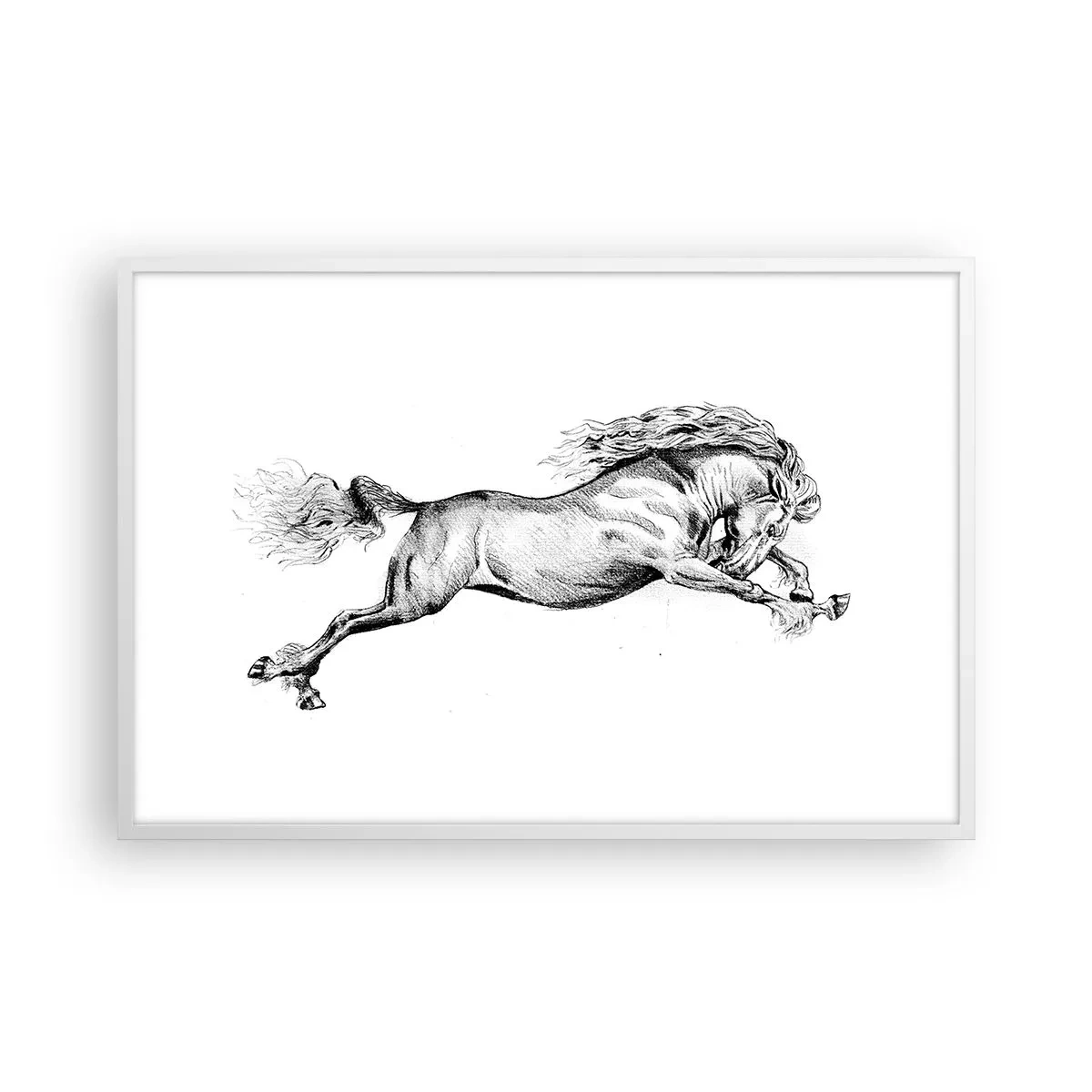 Plagát v bielom ráme - Zastavený v cvale - 91x61 cm