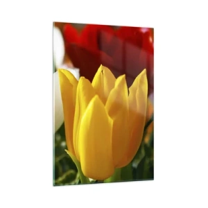Obraz na skle - Tulipánová horúčka - 80x120 cm
