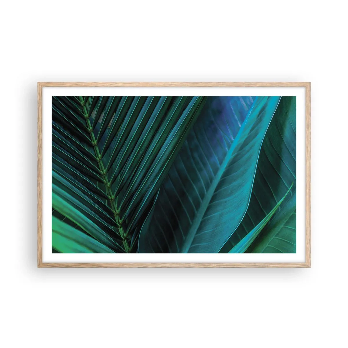 Plagát v ráme zo svetlého duba - Anatómia zelene - 91x61 cm