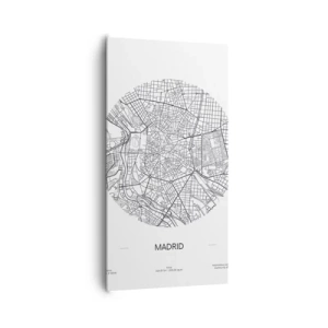 Obraz na plátne - Anatómia Madridu - 65x120 cm