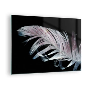 Obraz na skle - Jemné pierko na čiernom pozadí v umeleckom prístupe - 70x50cm - Premýšľajte o dotyku - Moderná nástenná dekorácia do obývacej izby a spálne ARTTOR