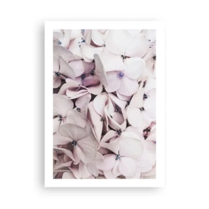 Plagát - V záplave kvetov - 50x70 cm