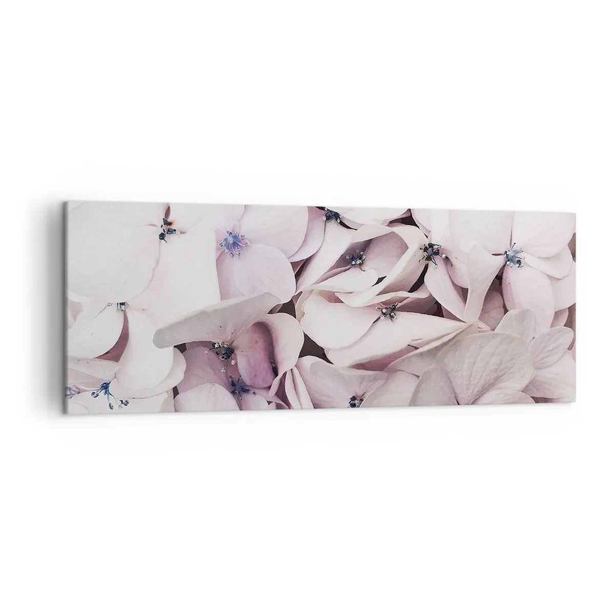 Obraz na plátne - V záplave kvetov - 140x50 cm