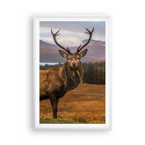 Plagát v bielom ráme - Majestát prírody - 61x91 cm