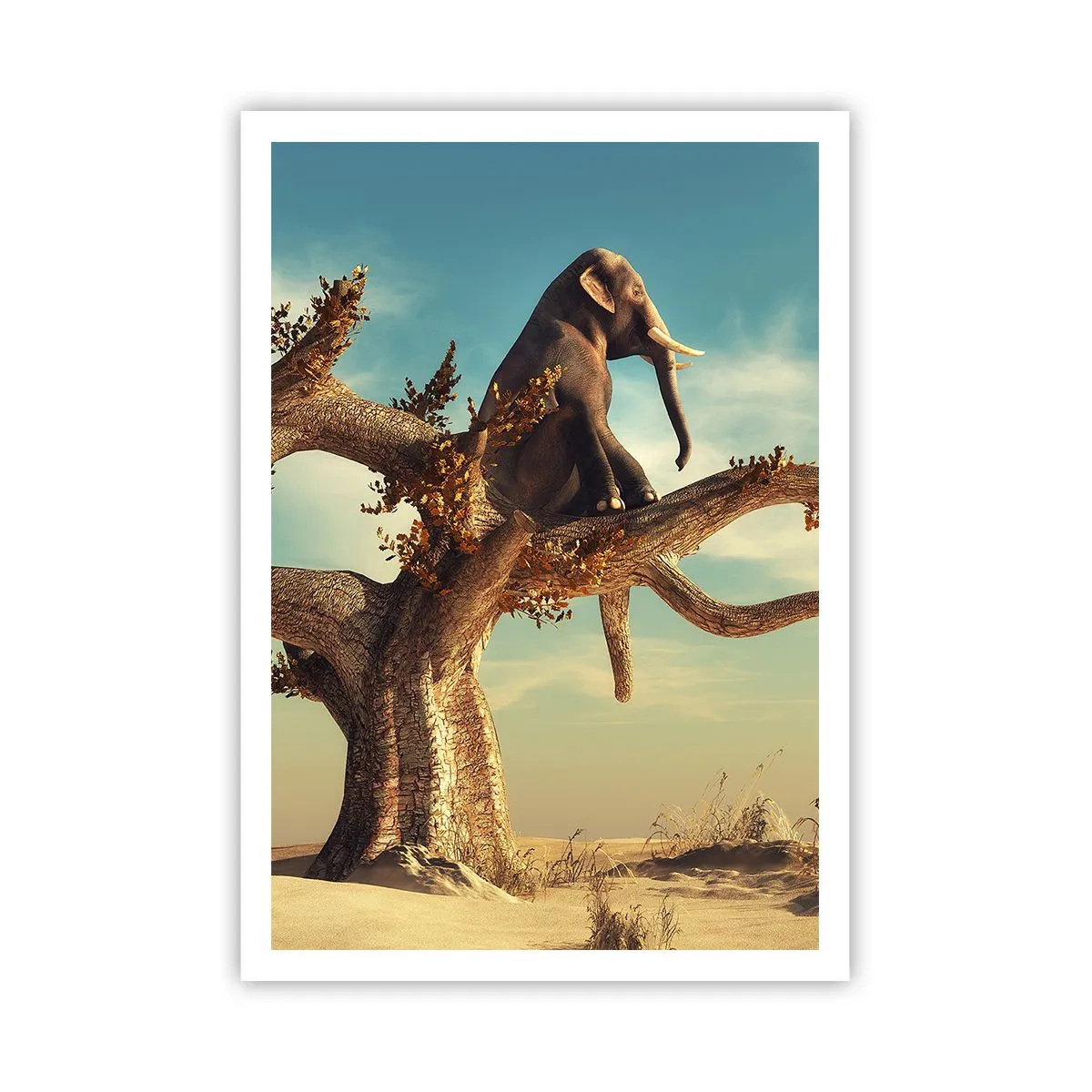 Plagát - Nový uhol pohľadu - 70x100 cm