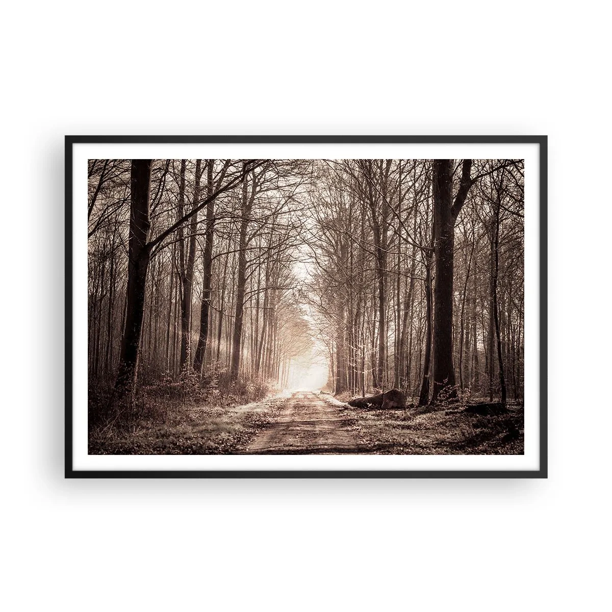 Plagát v čiernom ráme - Lesná katedrála - 100x70 cm