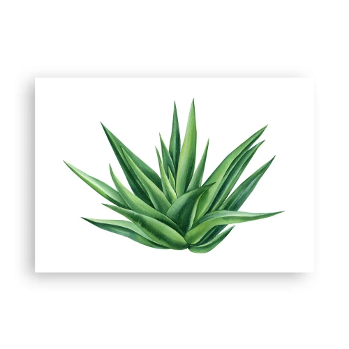 Plagát - Zelená – sila – život - 100x70 cm