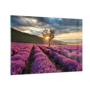Obraz na skle - Aróma vo fialovej - 100x70 cm