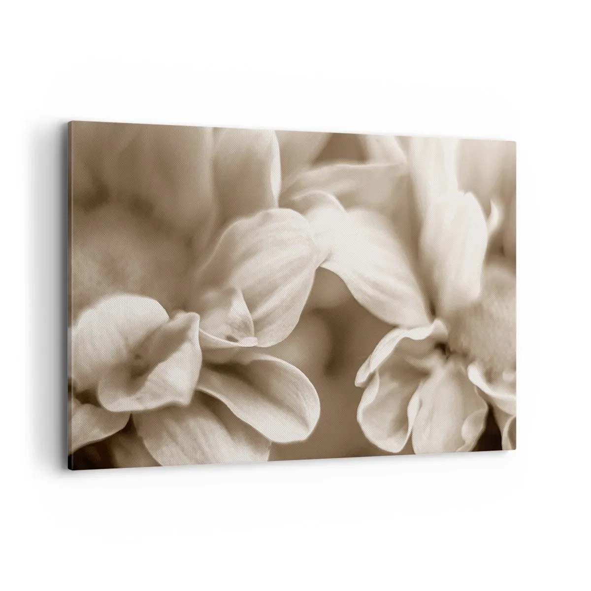 Obraz na plátne - Nežné ako úsmev - 120x80 cm