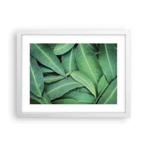 Plagát v bielom ráme - Šťavnaté a svieže - 40x30 cm