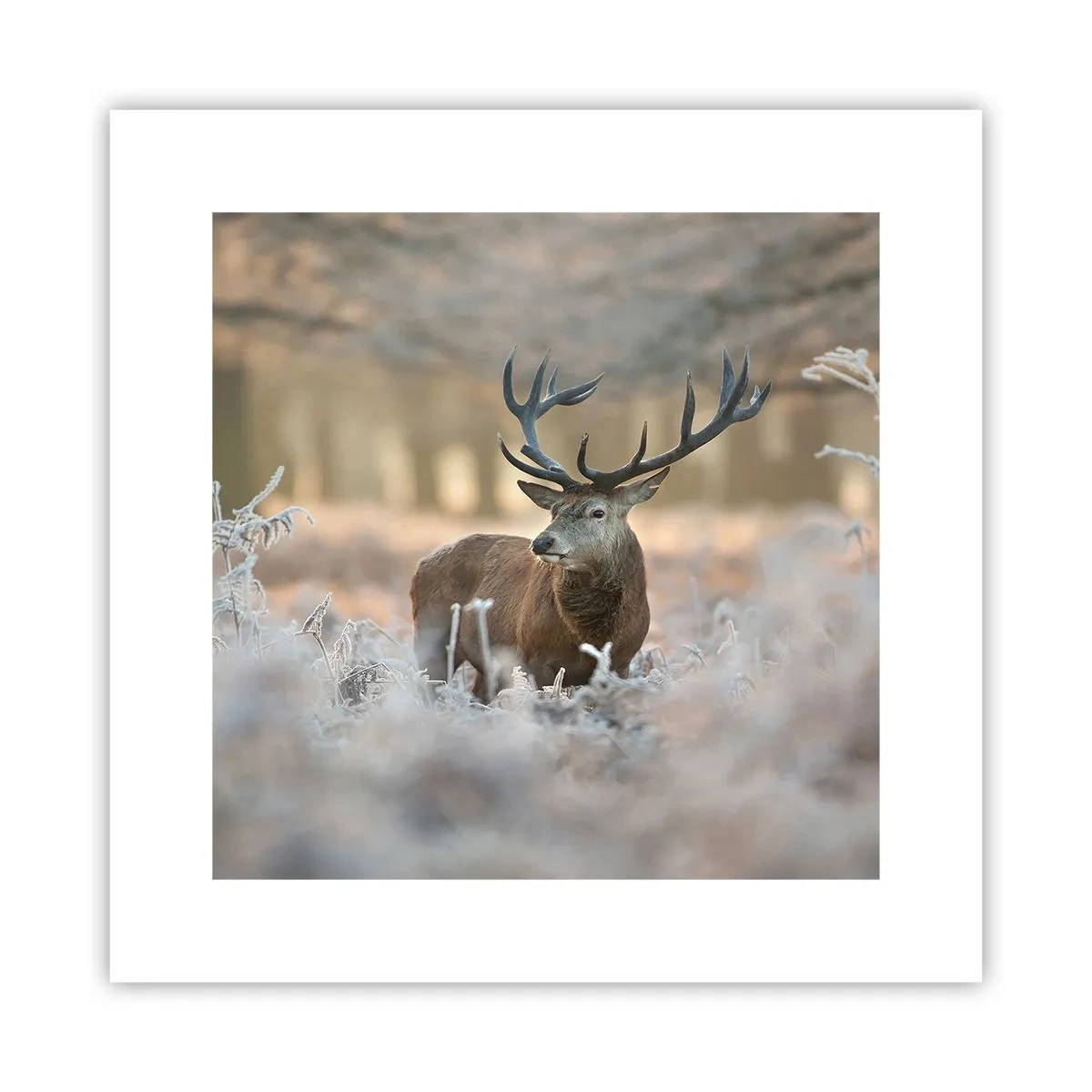 Plagát - Svieže ráno - 30x30 cm