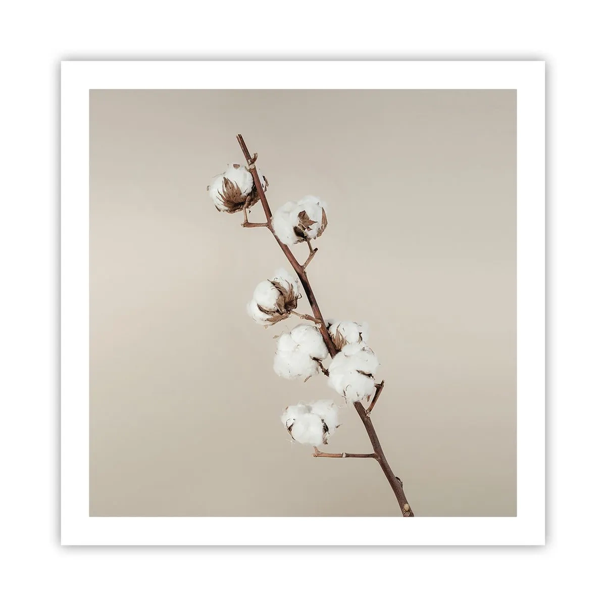 Plagát - Pri zdroji mäkkosti - 60x60 cm