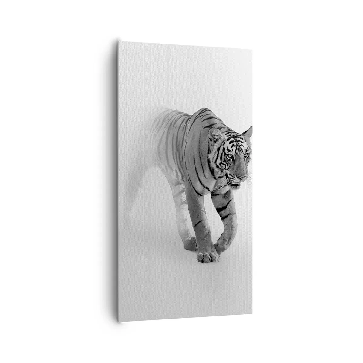 Obraz na plátne - Prikrčený v hmle - 65x120 cm