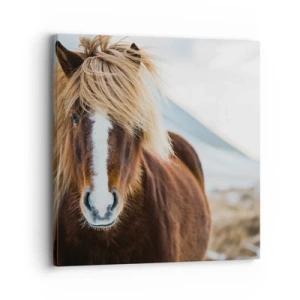 Obraz na plátne - Cítiš slobodu? - 30x30 cm