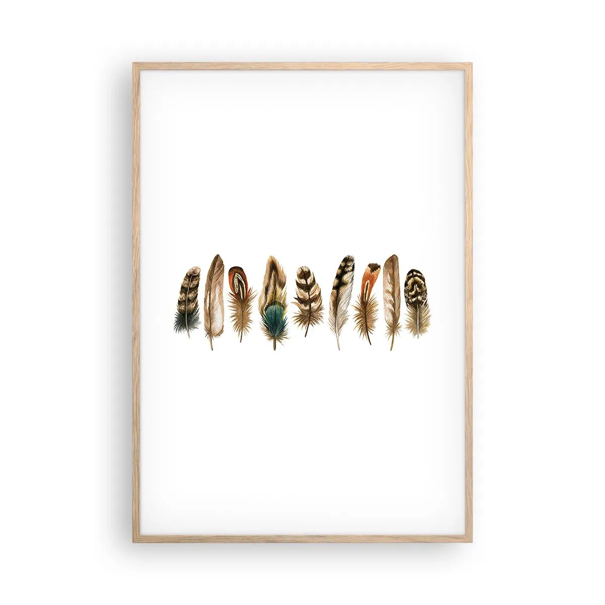 Plagát v ráme zo svetlého duba - Operená variácia - 70x100 cm