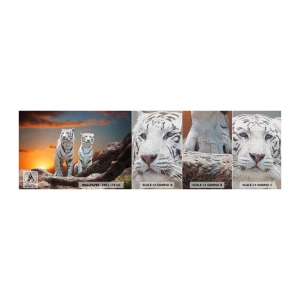Vzorka fototapety Premium Canvas - Úplne ako v Narnii - Zvieratá, Tiger, Západ slnka - 100x30 cm