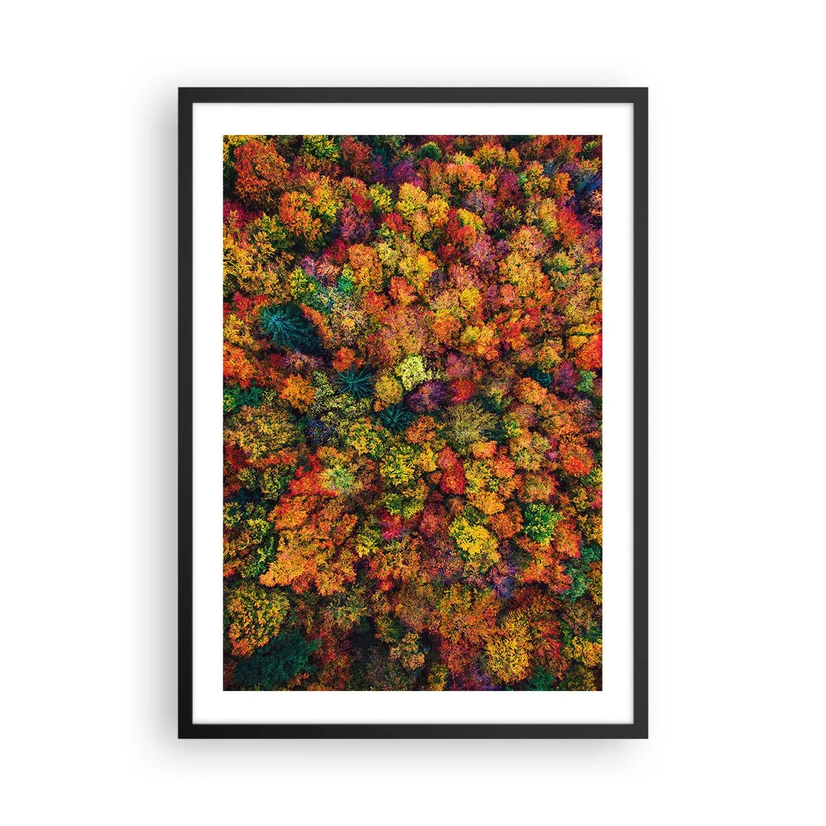Plagát v čiernom ráme - Farebný les videný z vtáčej perspektívy v jeho jesennej palete - 50x70cm - Kytica jesenných stromov - Moderná nástenná dekorácia do obývacej izby a spálne ARTTOR