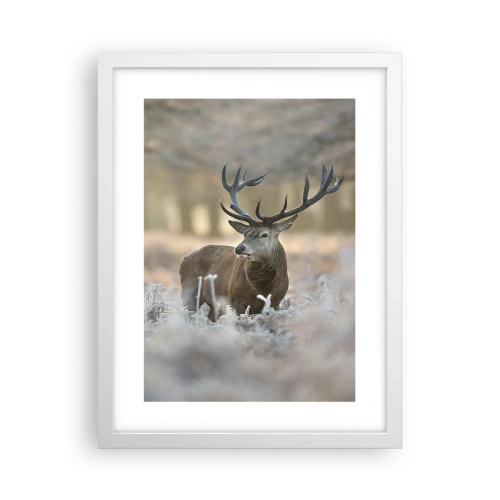 Plagát v bielom ráme - Svieže ráno - 30x40 cm