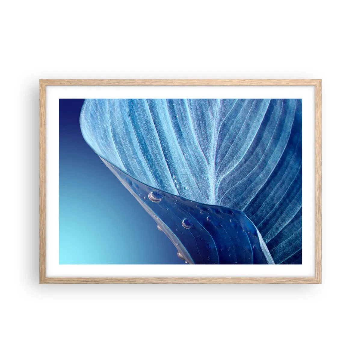 Plagát v ráme zo svetlého duba - Skryté kvapky modrej - 70x50 cm