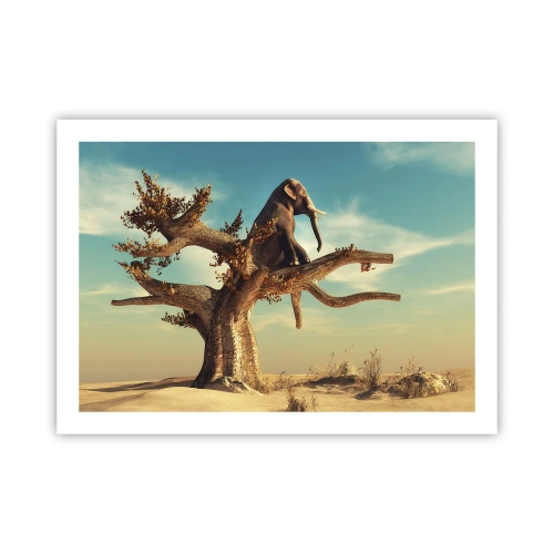 Plagát - Nový uhol pohľadu - 70x50 cm