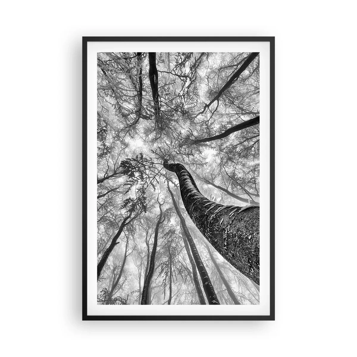 Plagát v čiernom ráme - Závod ku svetlu - 61x91 cm