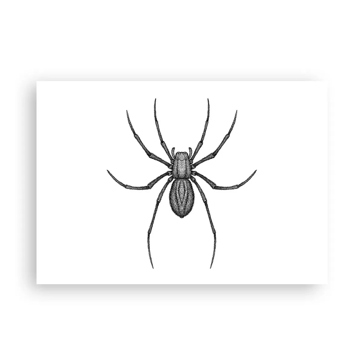 Plagát - Znepokojivá presnosť - 100x70 cm