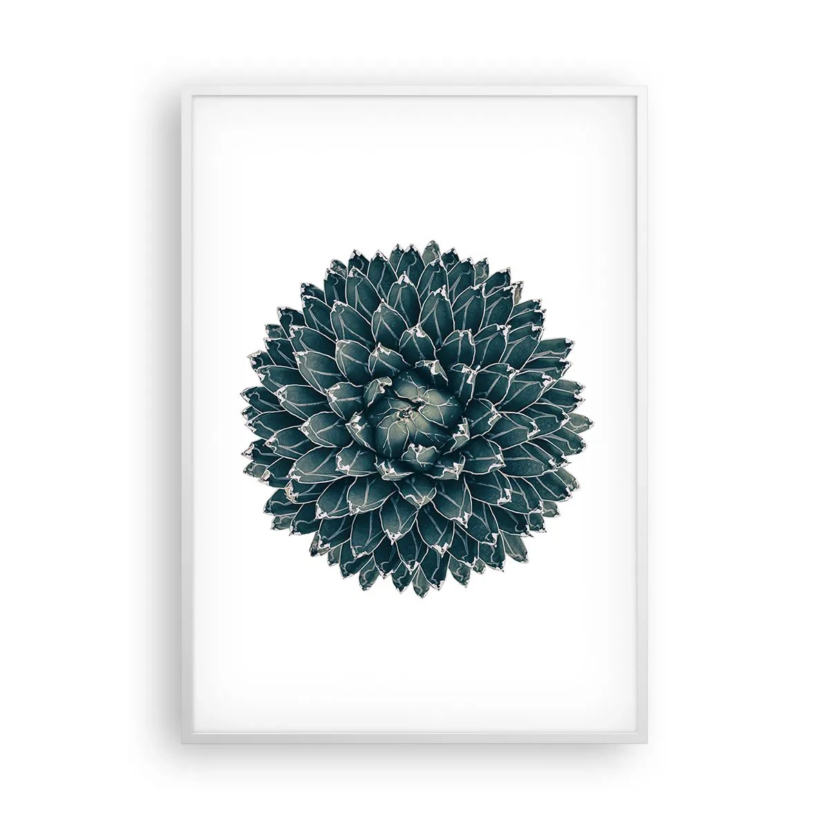 Plagát v bielom ráme - Hviezda púšte - 70x100 cm