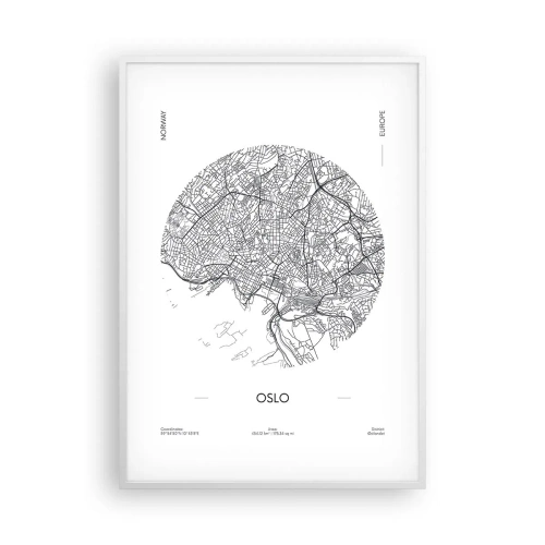 Plagát v bielom ráme - Anatómia Osla - 70x100 cm