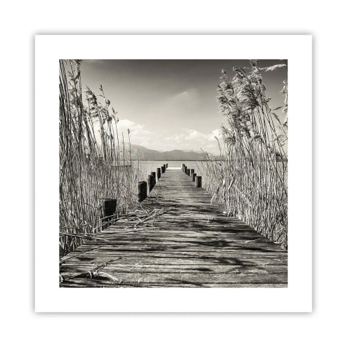 Plagát - V ústraní tráv - 40x40 cm