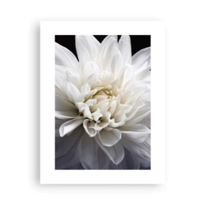 Plagát - Ráno s nevestou - 30x40 cm