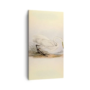 Obraz na plátne - Pani rákosín - 45x80 cm