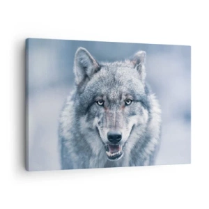 Obraz na plátne - Vlk s intenzívnym pohľadom v zimnej krajine - 70x50cm - Prijmete túto výzvu? - Moderná nástenná dekorácia do obývacej izby a spálne ARTTOR